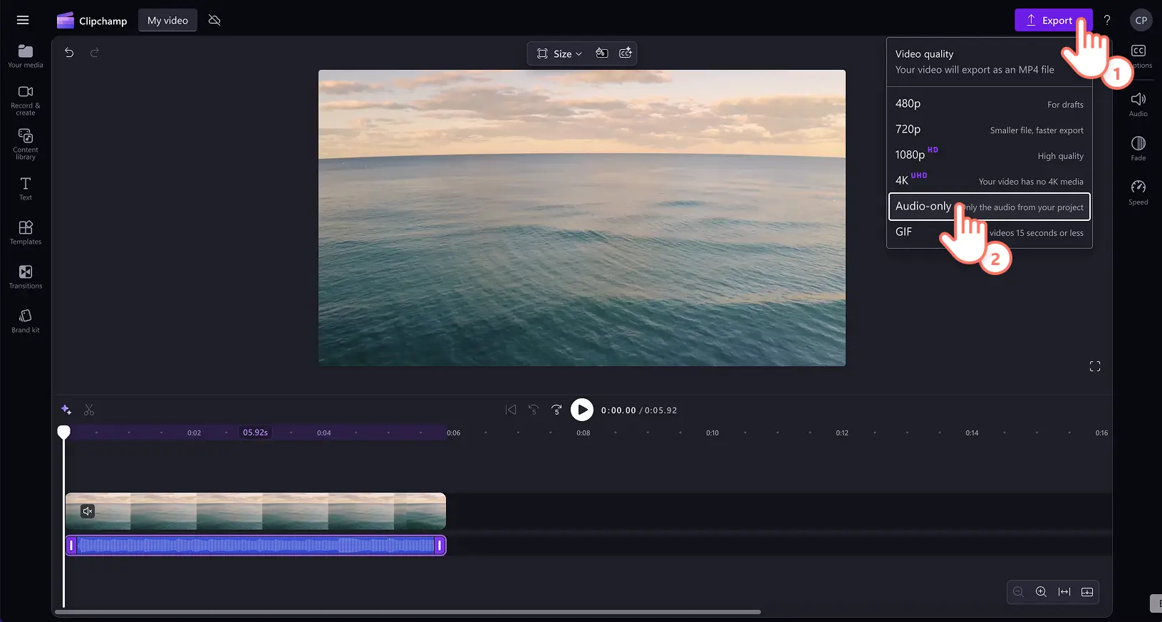 A user exporting audio only.